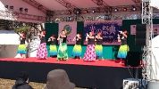 光の祭典2016